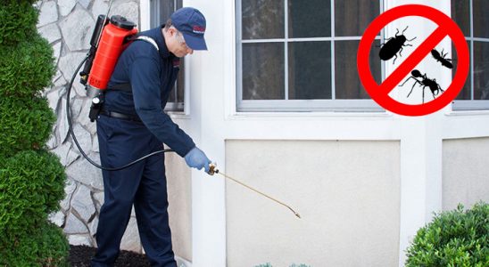 Bala Karınca İlaçlama böcek ilaçlama ve haşere kontrolü — ilaclama-tr.com